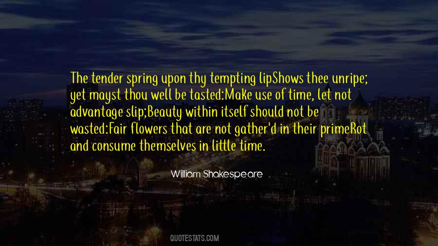 Quotes About Use Of Time #1806006