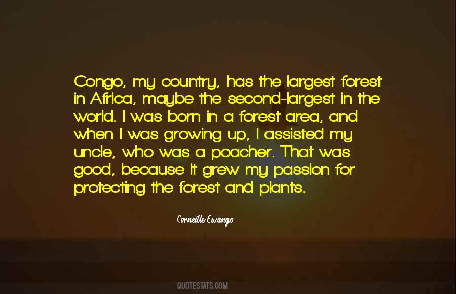 Quotes About Protecting Our Country #1076757