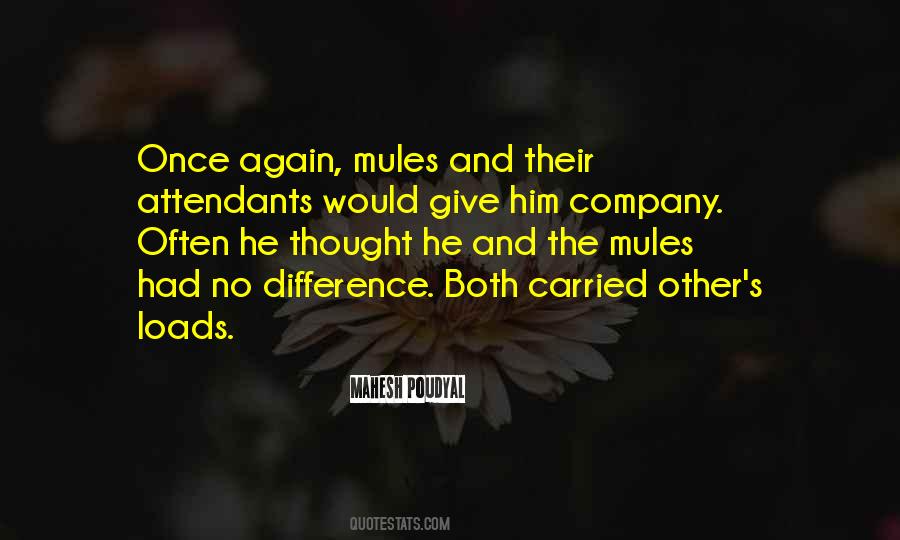 Quotes About Mules #985690