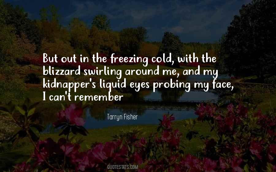 Quotes About Freezing #400625