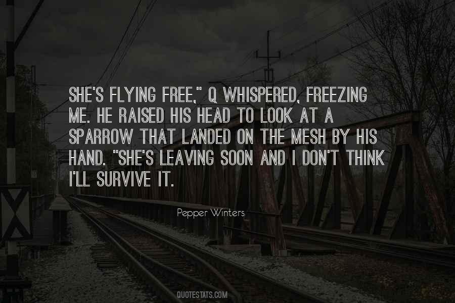 Quotes About Freezing #795515