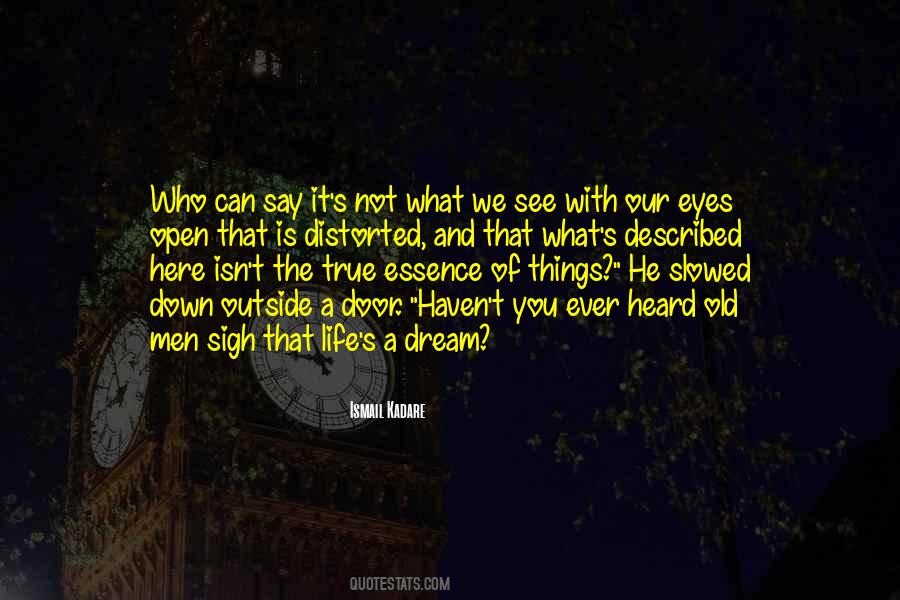 Eyes That See Quotes #102489