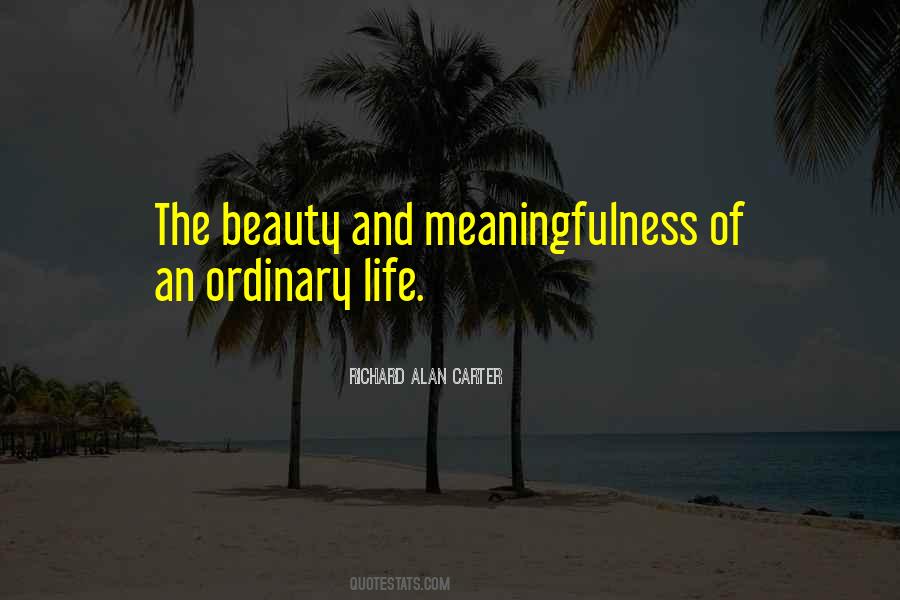 Quotes About Ordinary Beauty #118756