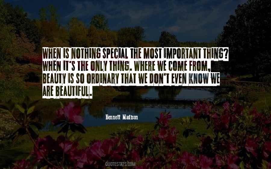 Quotes About Ordinary Beauty #1466139