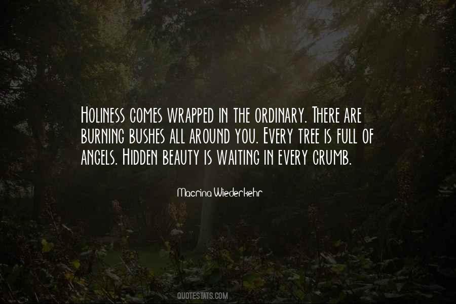 Quotes About Ordinary Beauty #327295