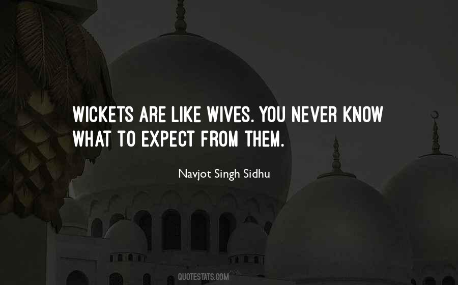 Quotes About Never Expect Too Much #15055