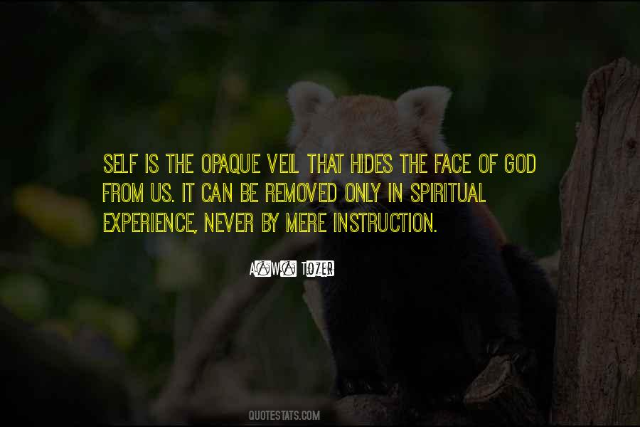 Face Of God Quotes #255124