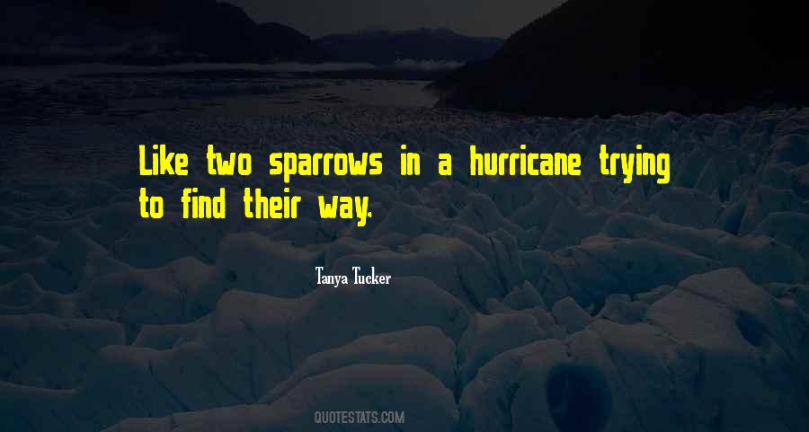 Two Sparrows Quotes #491372