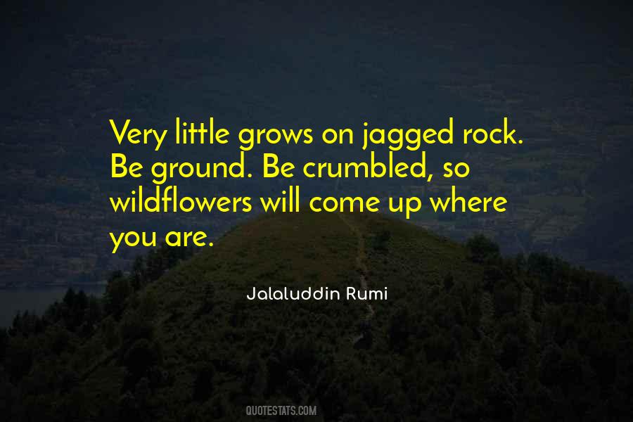 Quotes About Wildflowers #1097366