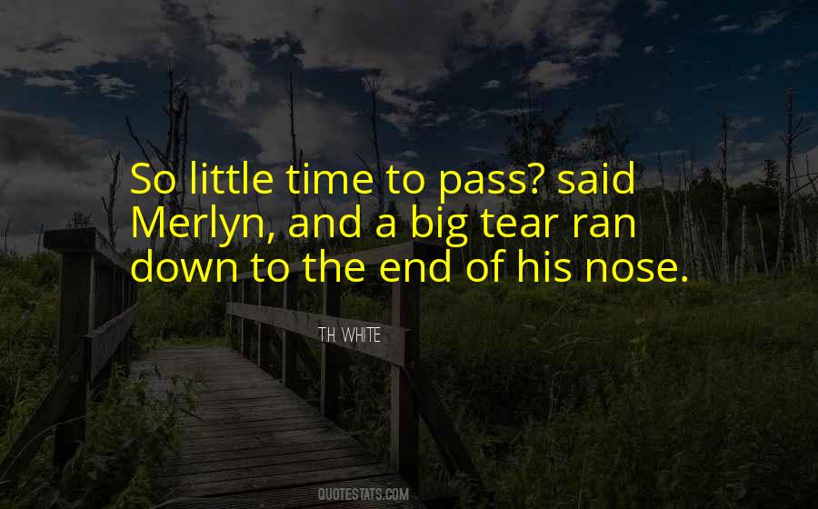 So Little Time Quotes #1375280