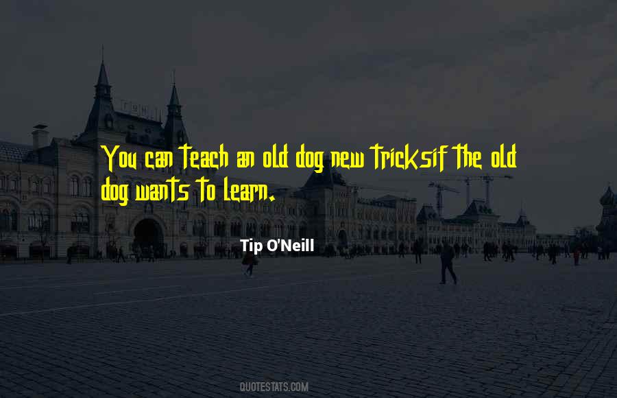 An Old Dog Quotes #1108315