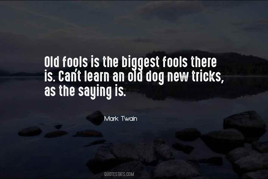 An Old Dog Quotes #1120782