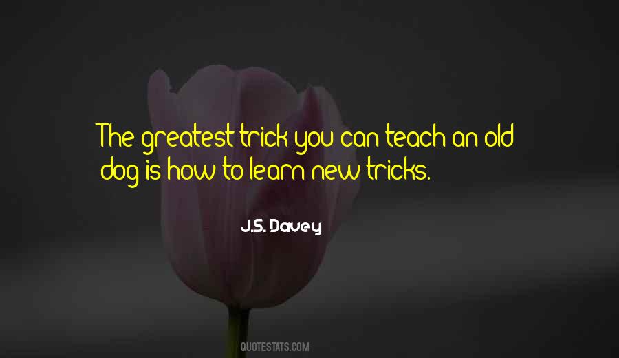 An Old Dog Quotes #1310343