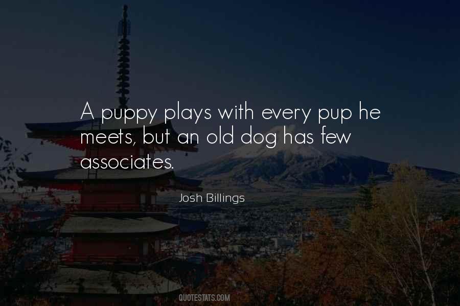 An Old Dog Quotes #1541462