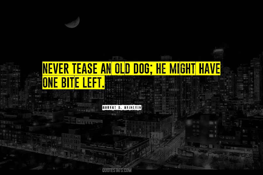An Old Dog Quotes #366705