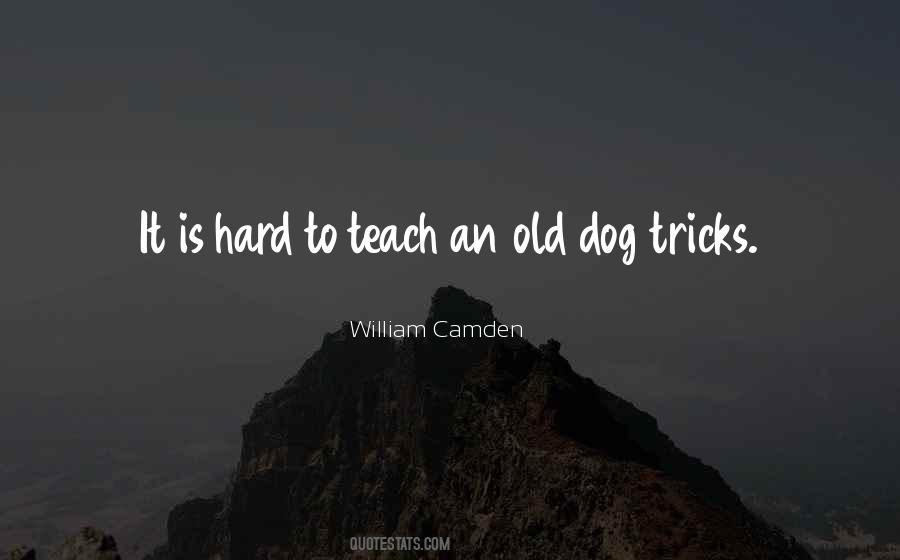 An Old Dog Quotes #384386