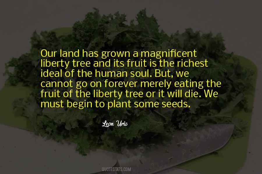 Soul But Quotes #1826400