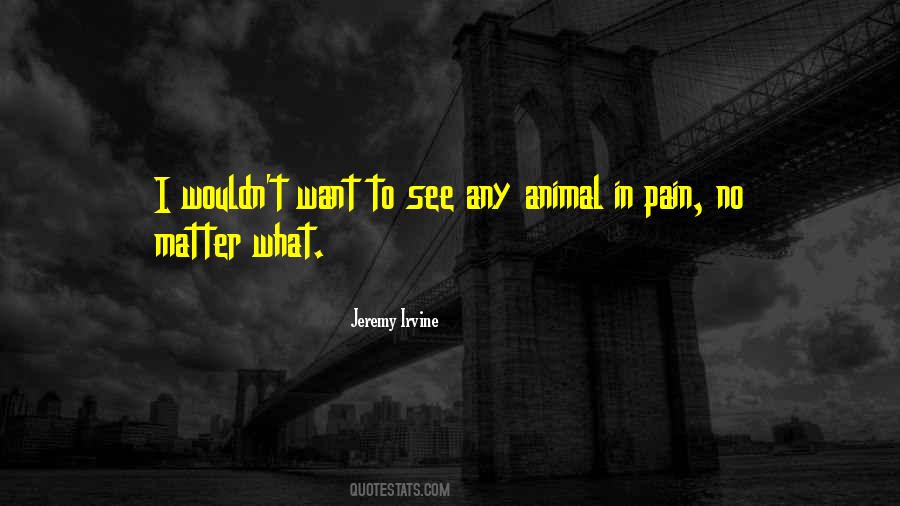 In Pain Quotes #1284557