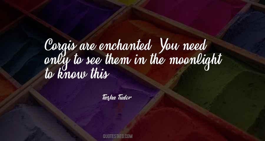 Quotes About Enchanted #1345509