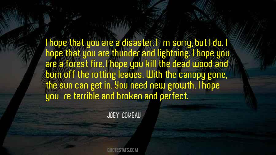 A Disaster Quotes #1021145