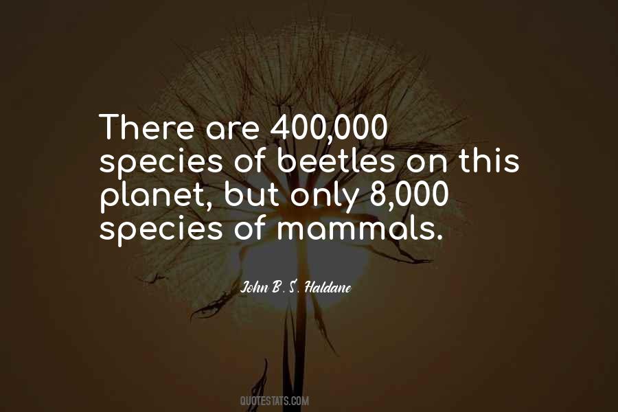 Quotes About Beetles #232089