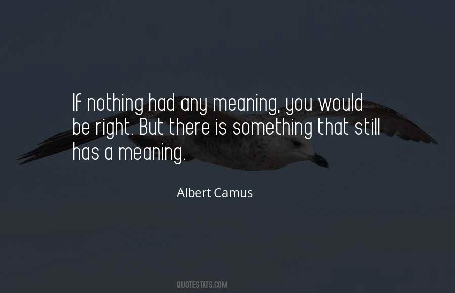 Meaning You Quotes #1874718