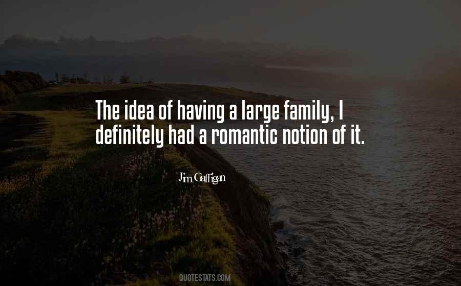 Quotes About A Large Family #1124021