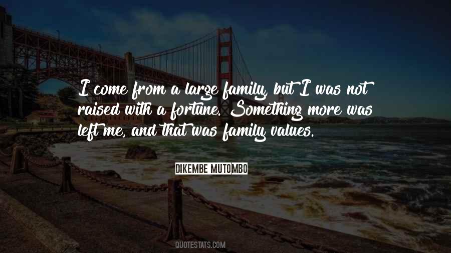 Quotes About A Large Family #585247