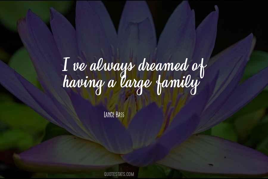 Quotes About A Large Family #662765