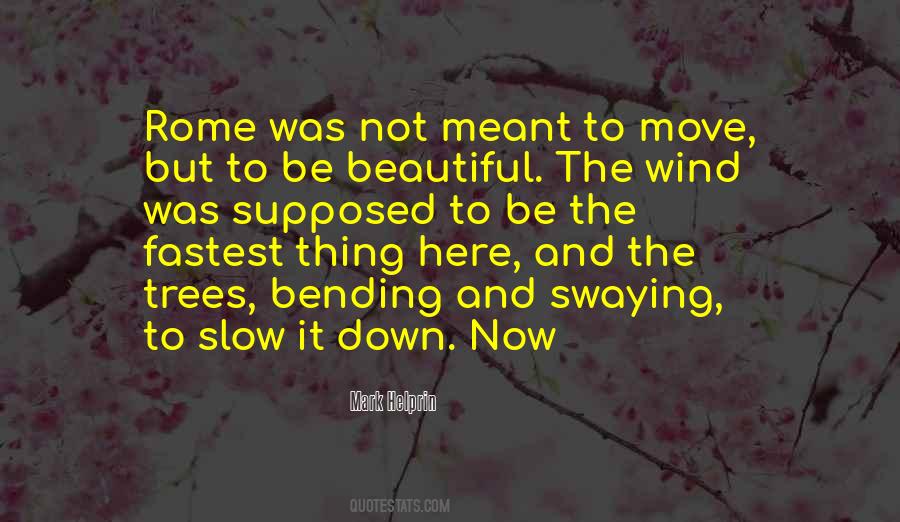 Down Now Quotes #796447