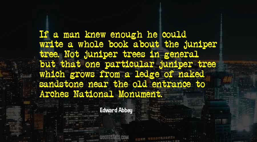Quotes About Entrance #1143790