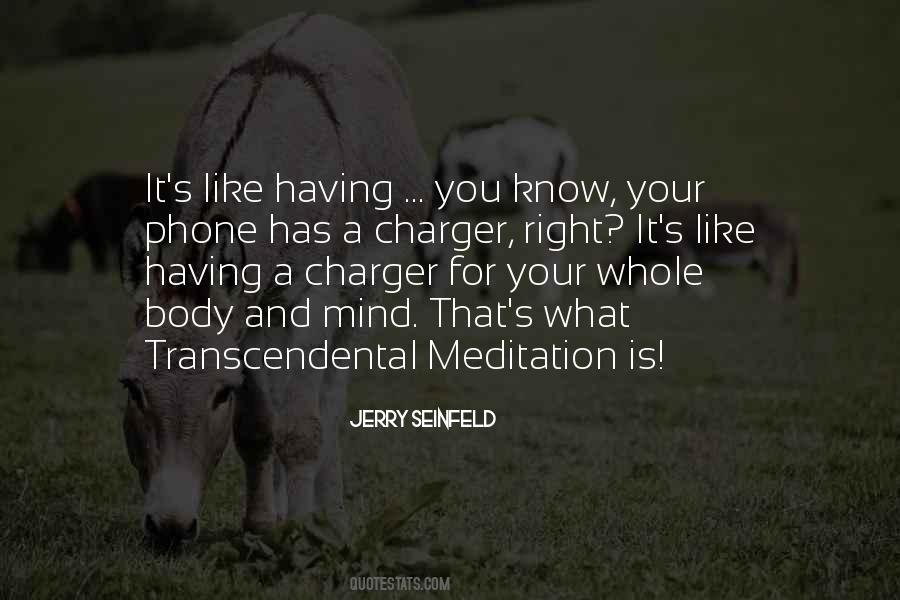 Quotes About Meditation #1653222