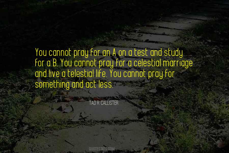 Praying Life Quotes #800483