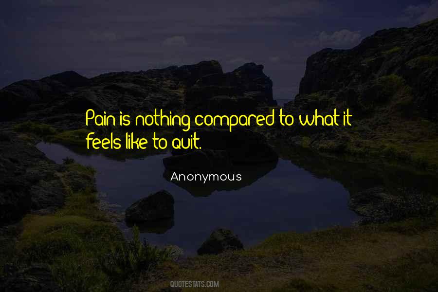Pain Is Pain Quotes #11455