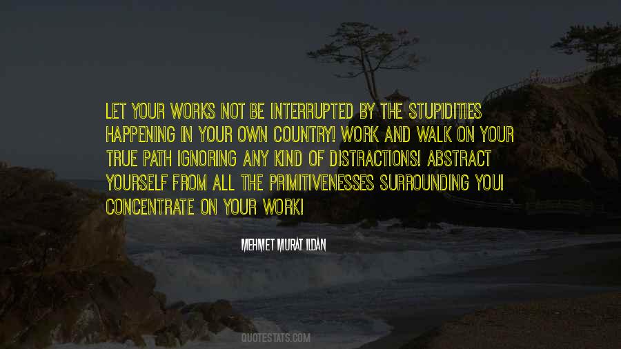 Walk Your Own Path Quotes #694380