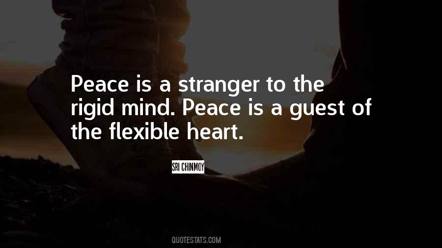 Umeed Mat Rakho Quotes #1309748