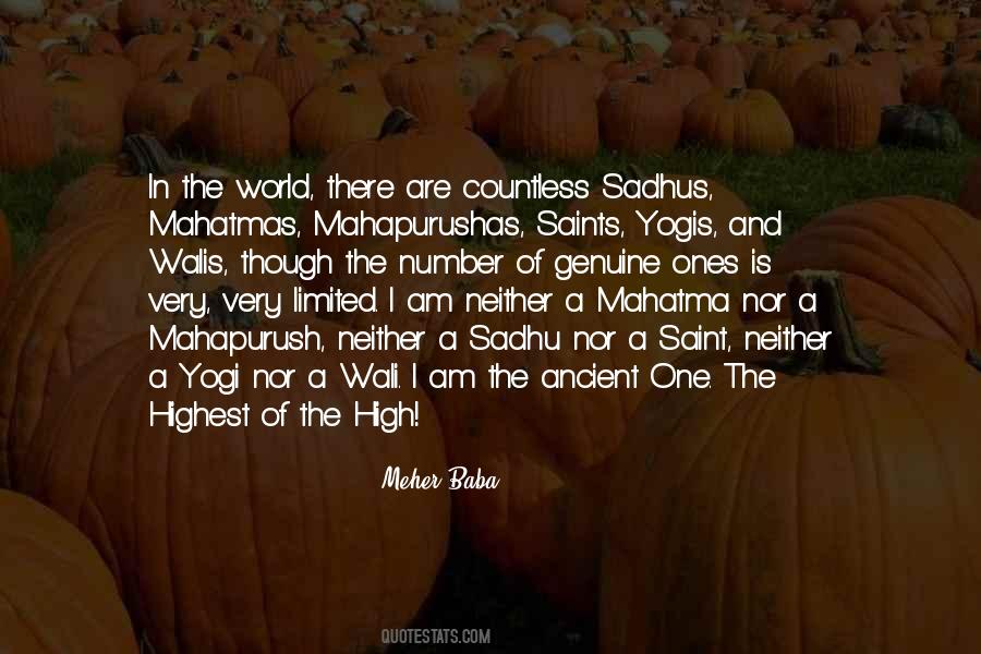 Quotes About Sadhus #858772
