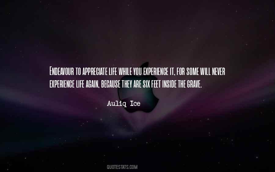 Quotes About Appreciating Life #221189