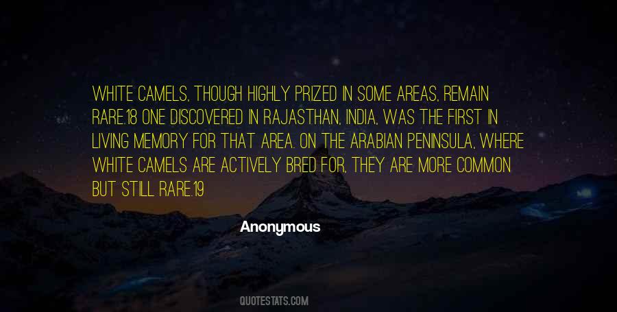 19 For Quotes #1069080