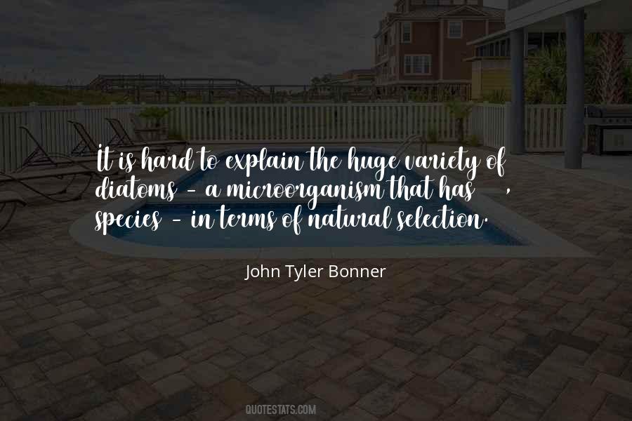 Quotes About Selection #1241744