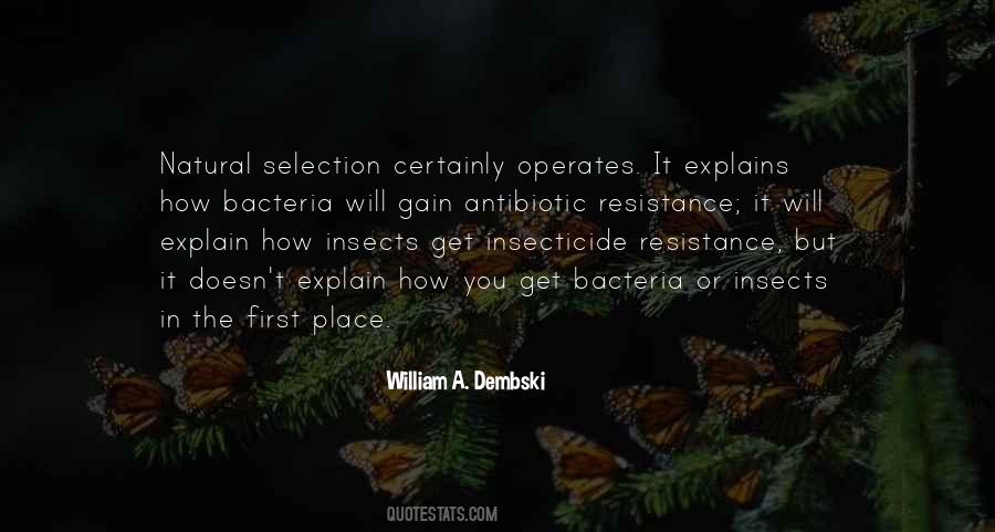 Quotes About Selection #1255388