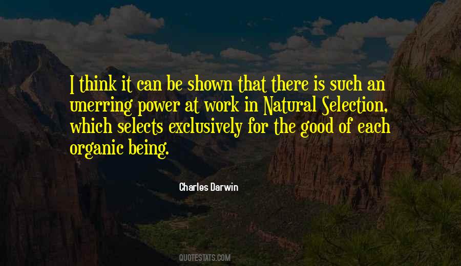 Quotes About Selection #1263209