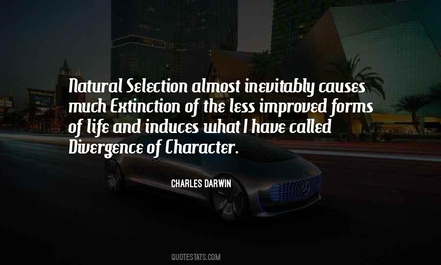 Quotes About Selection #1299228