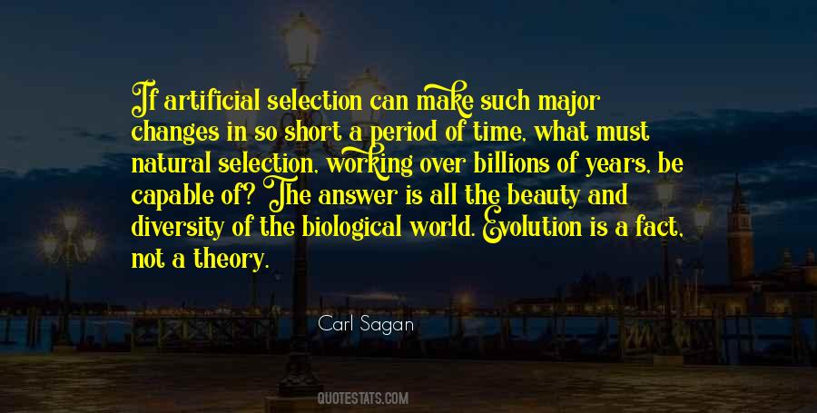 Quotes About Selection #1307085