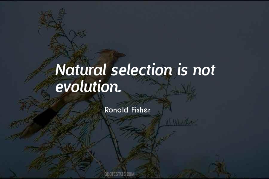 Quotes About Selection #1420954