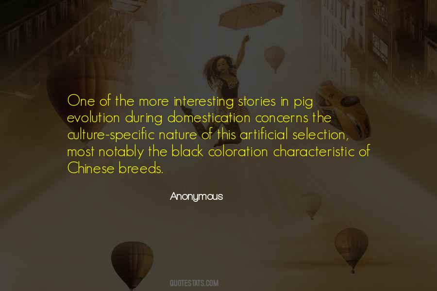 Quotes About Selection #975487