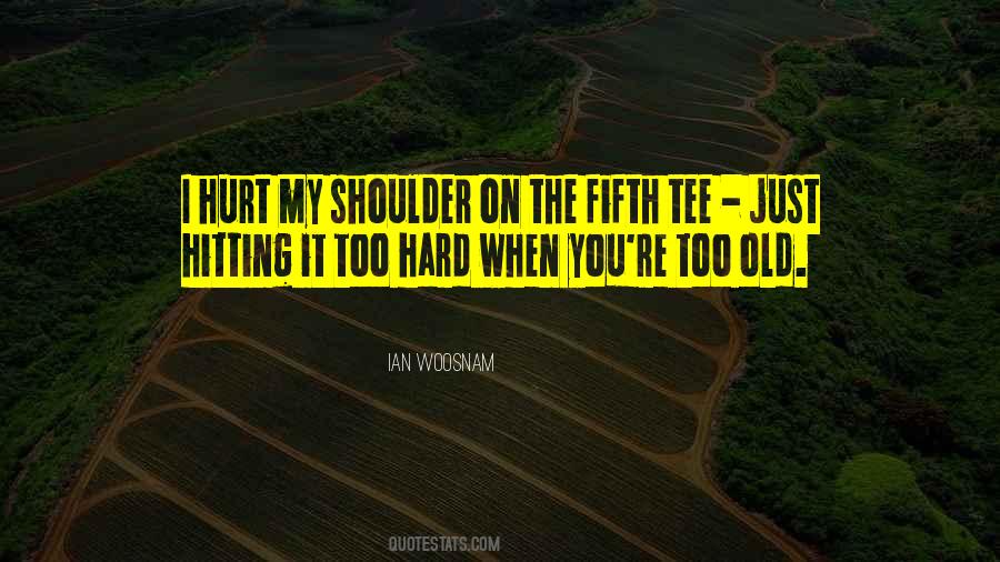 Quotes About When You're Hurt #473767