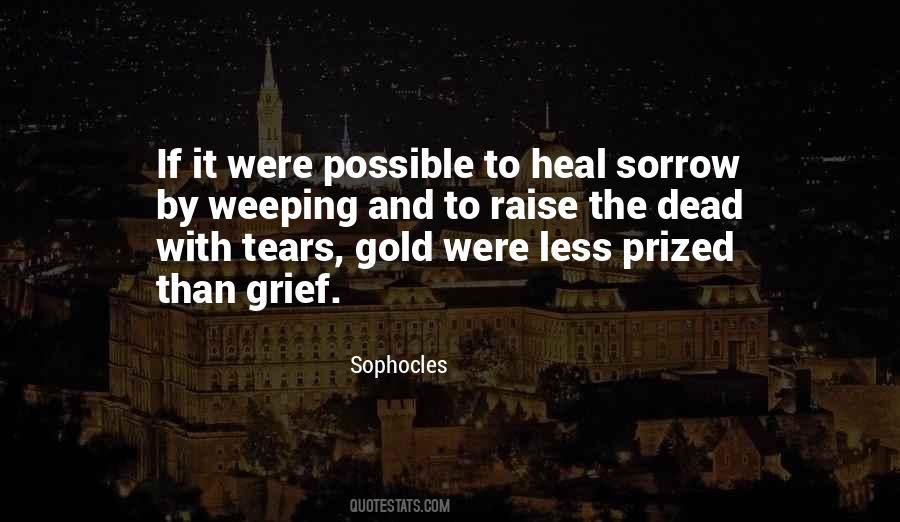 Grief Sorrow Quotes #599304