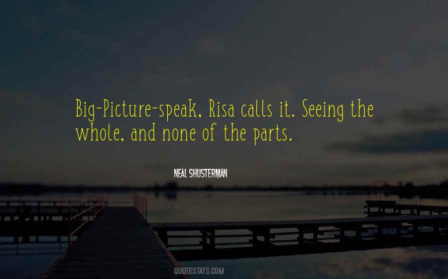 Quotes About Seeing The Big Picture #1103537
