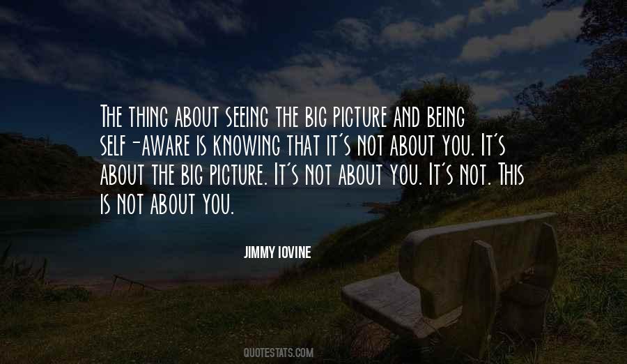 Quotes About Seeing The Big Picture #1426176